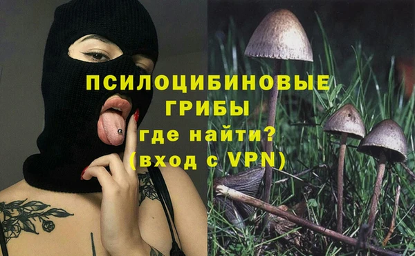 сатива Армянск