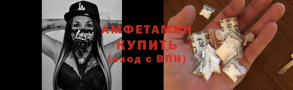 сатива Армянск