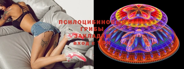 прущий лед Аркадак