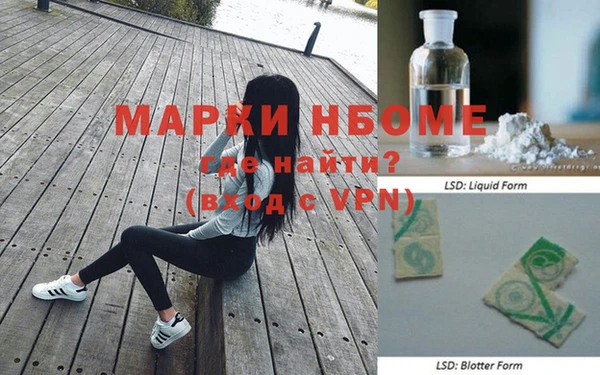 сатива Армянск