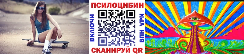 как найти   Багратионовск  Галлюциногенные грибы мицелий 