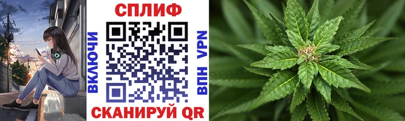 Каннабис Amnesia  Багратионовск 